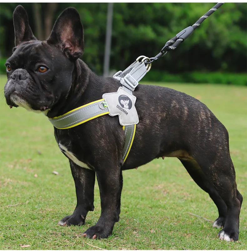 Y Dog Reflective Harness for Small and Medium Dogs