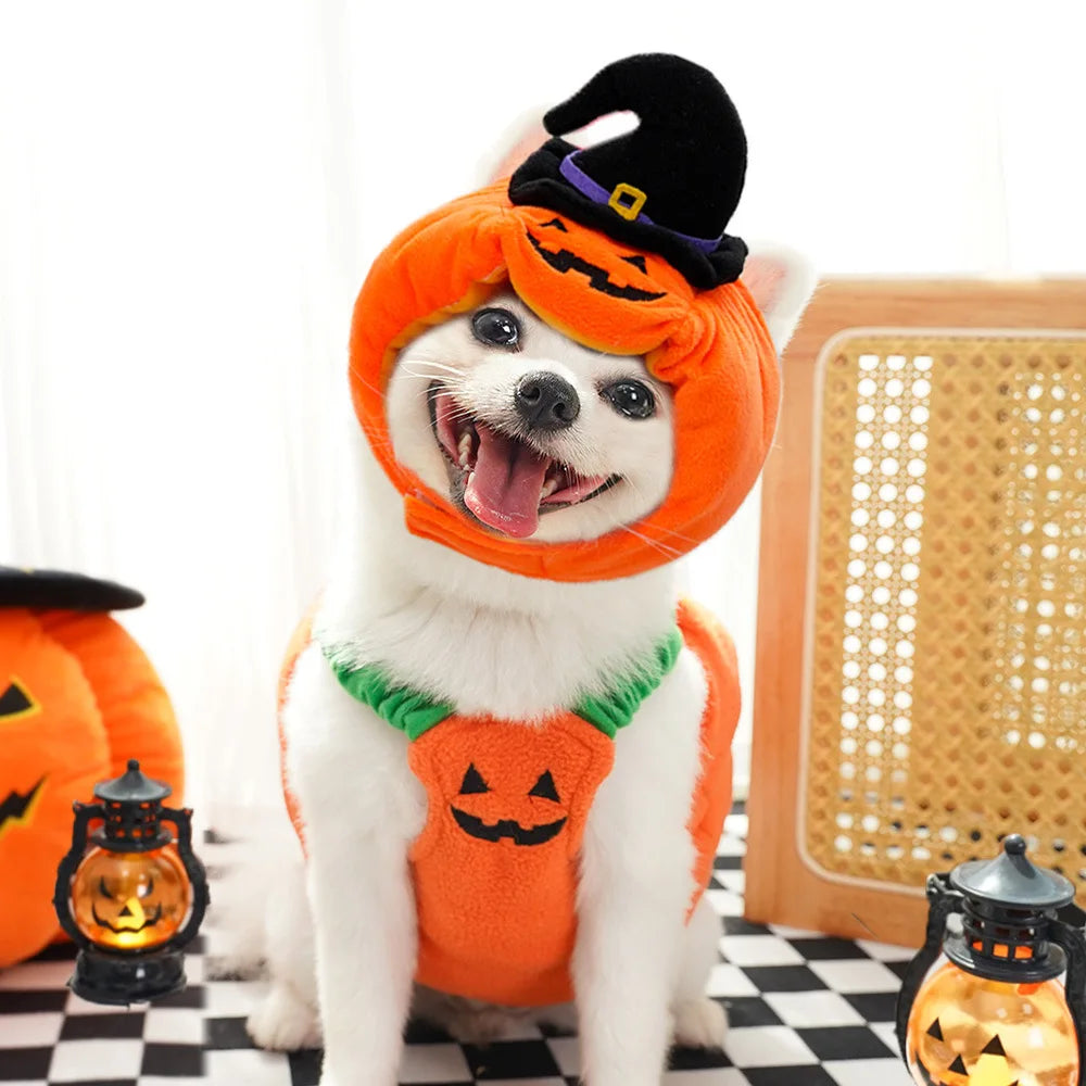 Halloween Pumpkin Dog Pet Costume for small Dogs and Cats