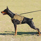 Tactical Dog Harness for Small, Medium, and Large Dogs