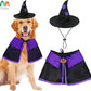 Halloween Dog Witch Costume