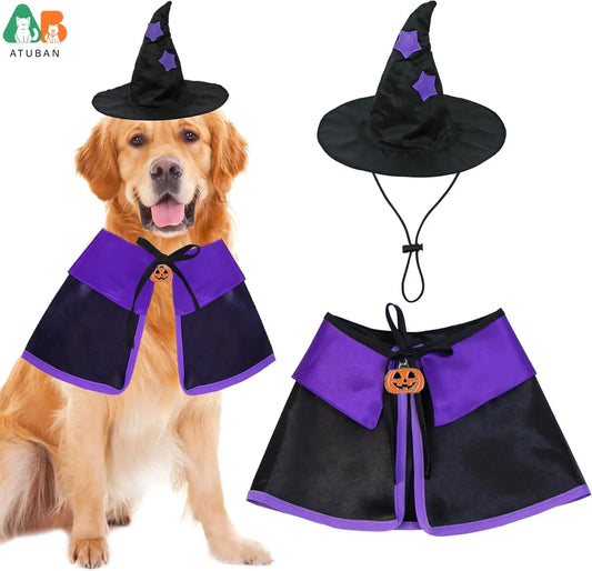 Halloween Dog Witch Costume