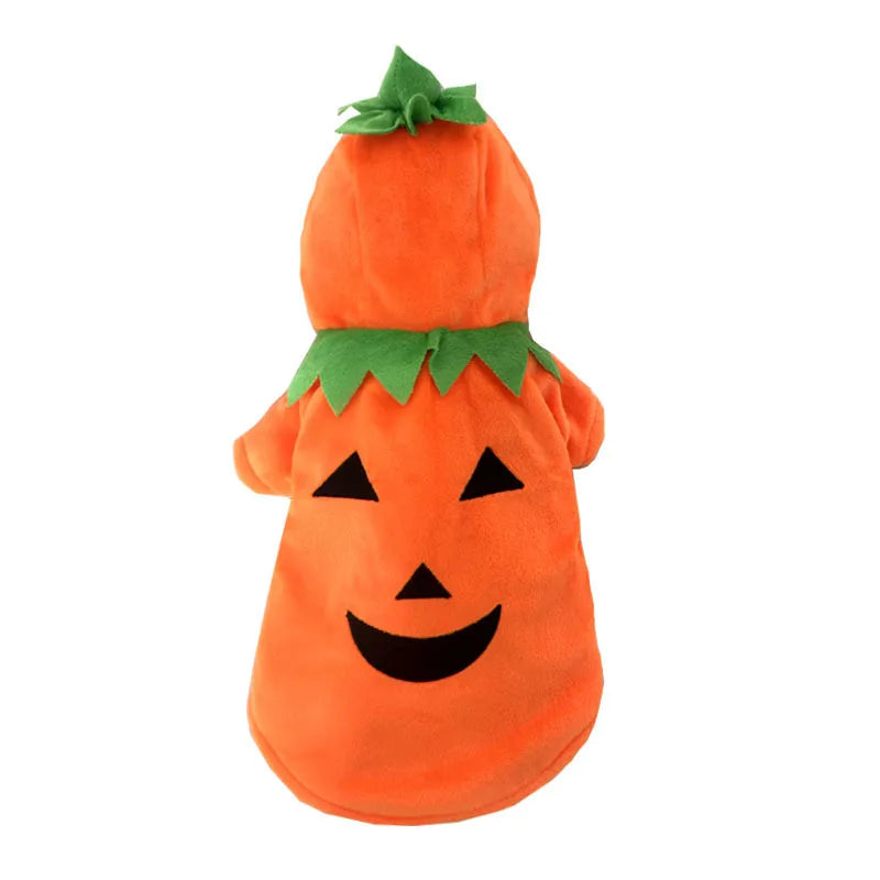 Pumpkin Funny Pet Halloween Costume