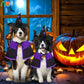 Halloween Dog Witch Costume