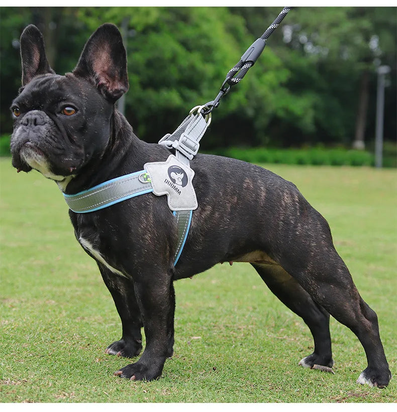 Y Dog Reflective Harness for Small and Medium Dogs