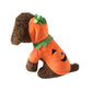 Pumpkin Funny Pet Halloween Costume