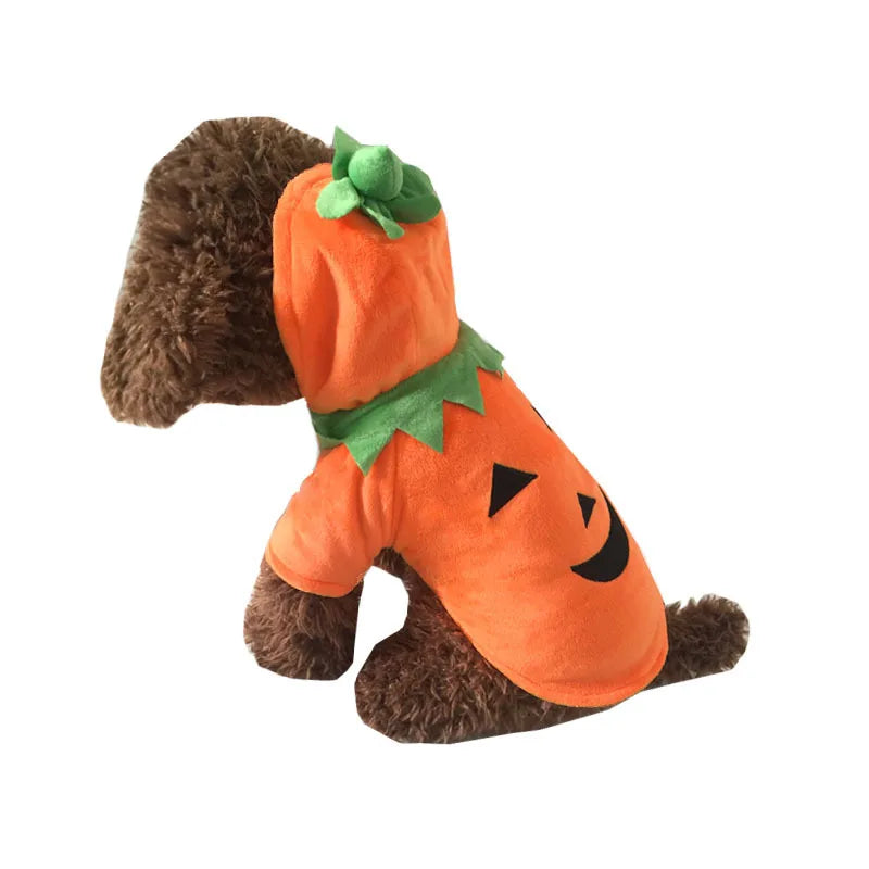 Pumpkin Funny Pet Halloween Costume