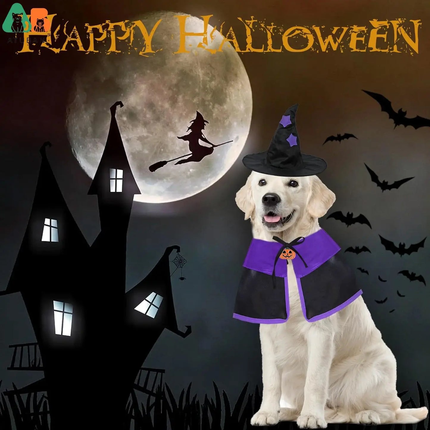 Halloween Dog Witch Costume