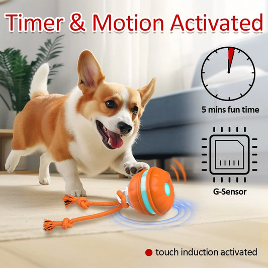 Tail N Tailz Interactive Dog Toy Ball Motion Activated