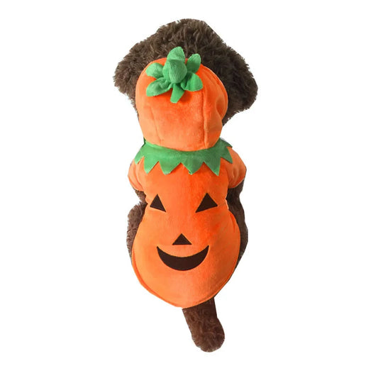 Pumpkin Funny Pet Halloween Costume