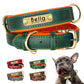 Tail N Tailz Customized Leather ID Nameplate Dog Collar Free Engraving Name for Small Medium Large Dogs