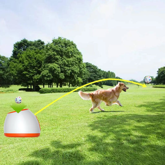 Tailn Tailz Interactive Fun Dog Ball Thrower