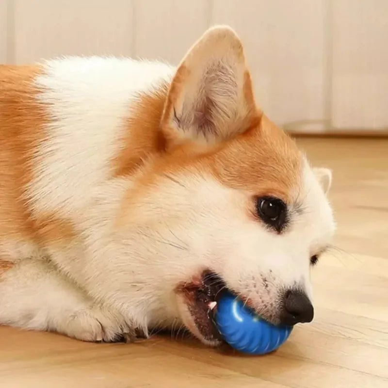 Automatic Moving Dog Toy Ball