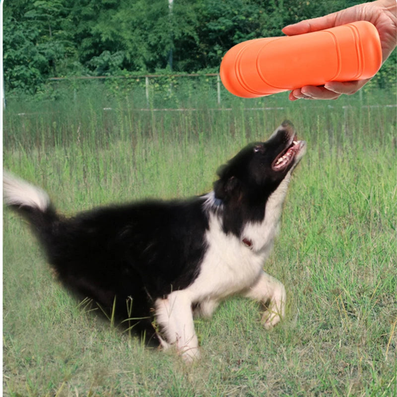 Dog Toy Flying Disc