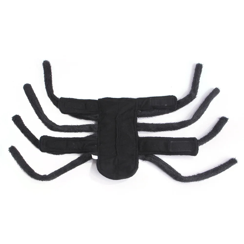 Halloween Funny Spider Dog Costume