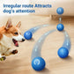 Automatic Moving Dog Toy Ball