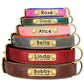 Tail N Tailz Customized Leather ID Nameplate Dog Collar Free Engraving Name for Small Medium Large Dogs