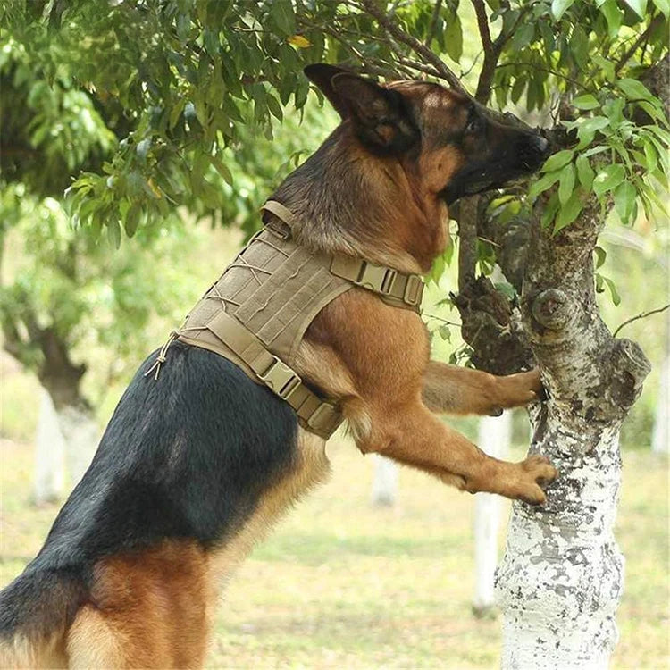 Tactical Dog Harness for Small, Medium, and Large Dogs