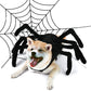 Halloween Funny Spider Dog Costume