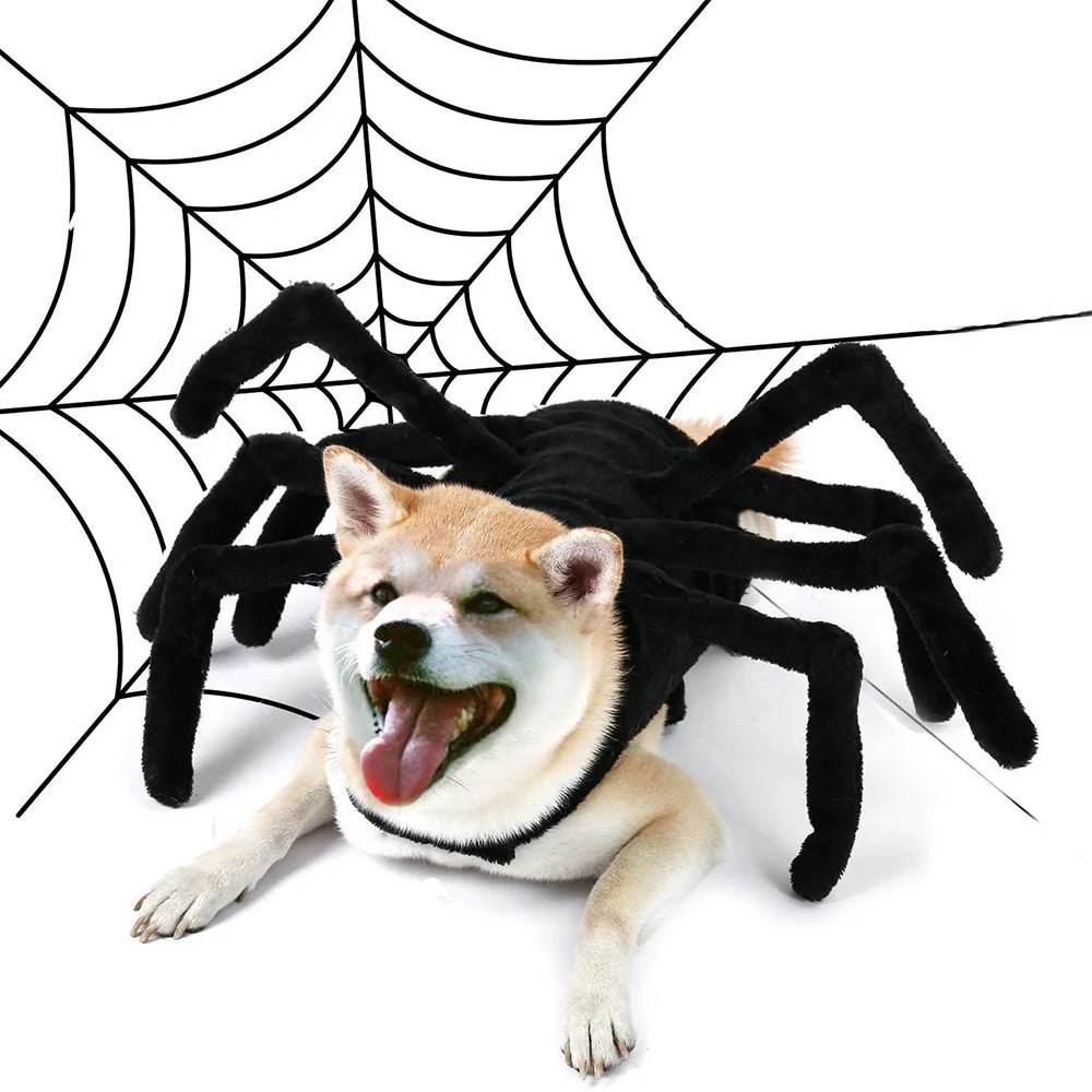 Halloween Funny Spider Dog Costume