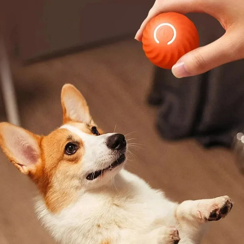 Automatic Moving Dog Toy Ball