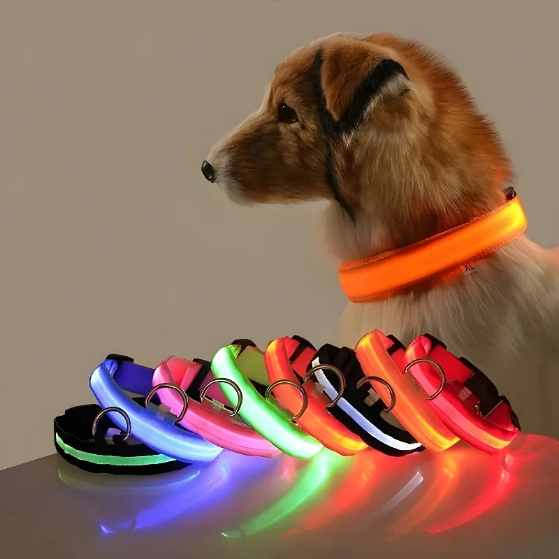 Nylon LED Night Safety Flashing Glow in the Dark Pet Dog Collar