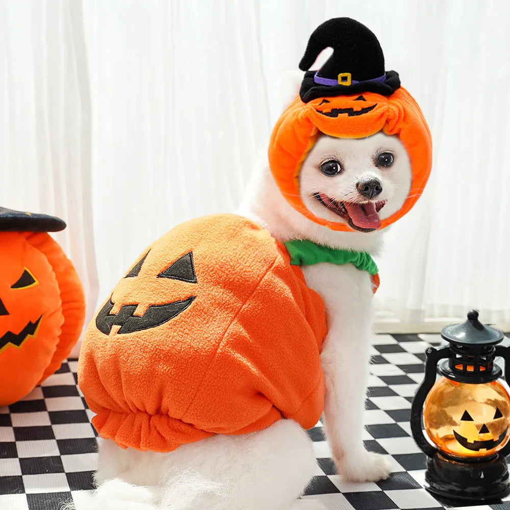 Halloween Pumpkin Dog Pet Costume for small Dogs and Cats