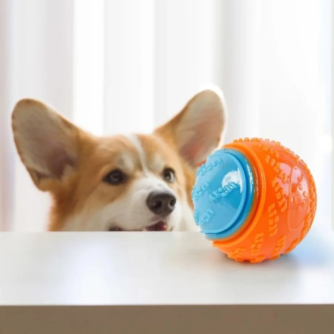 Bite-Resistant Rubber Dog Toy Ball – Beef-Flavoured Elastic Ball for Chewing & Training