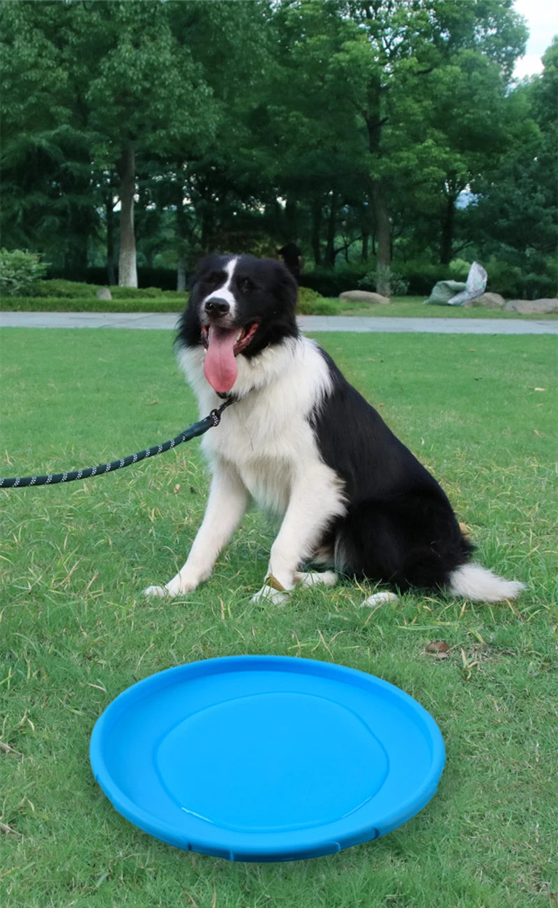 Dog Toy Flying Disc